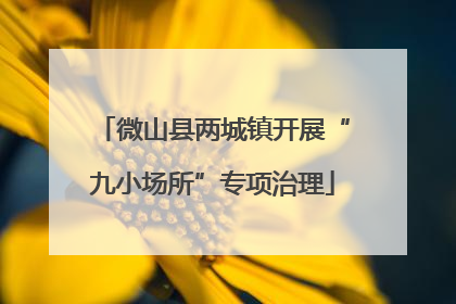 微山县两城镇开展“九小场所”专项治理
