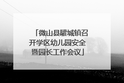 微山县驩城镇召开学区幼儿园安全暨园长工作会议
