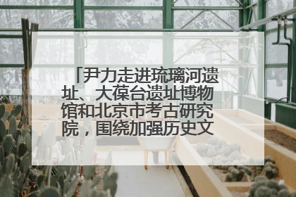 尹力走进琉璃河遗址、大葆台遗址博物馆和北京市考古研究院，围绕加强历史文化名城保护调研