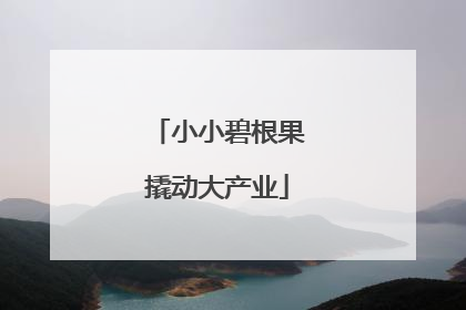 小小碧根果撬动大产业