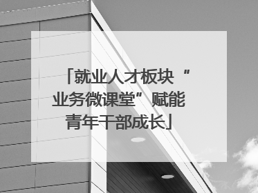 就业人才板块“业务微课堂”赋能青年干部成长
