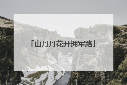 山丹丹花开拥军路