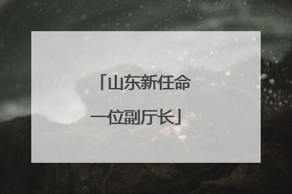 山东新任命一位副厅长