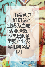 山东莒县：鲜切花产业成为当地农业增效、农民增收的重要产业发展和特色品牌