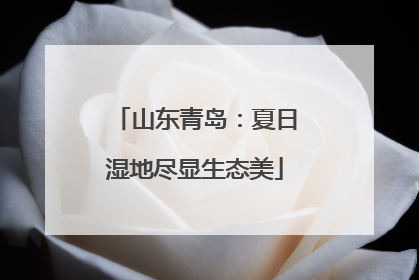 山东青岛：夏日湿地尽显生态美