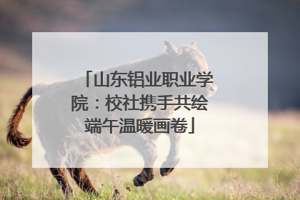 山东铝业职业学院：校社携手共绘端午温暖画卷