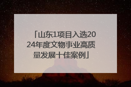 山东1项目入选2024年度文物事业高质量发展十佳案例