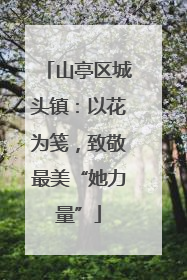 山亭区城头镇：以花为笺，致敬最美“她力量”