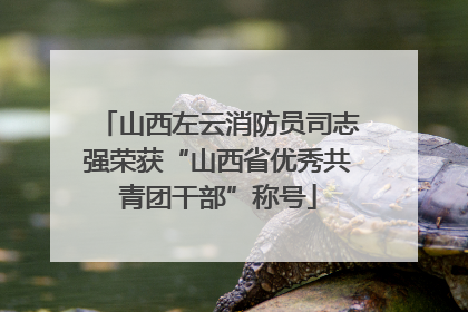 山西左云消防员司志强荣获“山西省优秀共青团干部”称号
