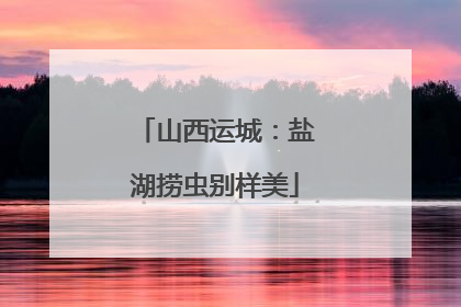 山西运城：盐湖捞虫别样美