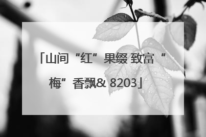 山间“红”果缀 致富“梅”香飘& 8203