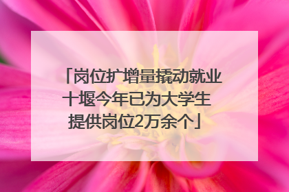 岗位扩增量撬动就业 十堰今年已为大学生提供岗位2万余个