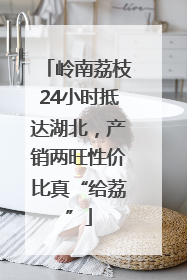 岭南荔枝24小时抵达湖北，产销两旺性价比真“给荔”