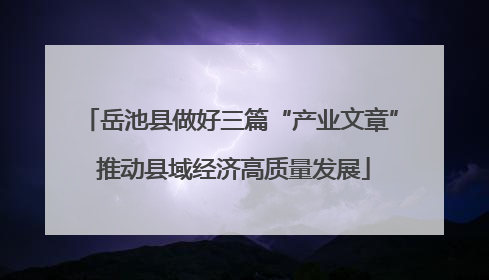 岳池县做好三篇“产业文章” 推动县域经济高质量发展