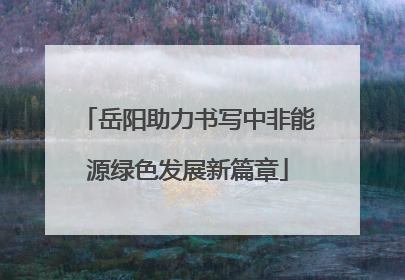 岳阳助力书写中非能源绿色发展新篇章