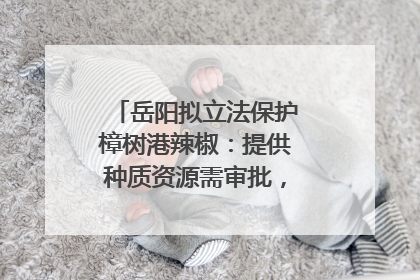岳阳拟立法保护樟树港辣椒：提供种质资源需审批，违规最高罚5万