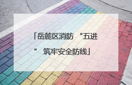 岳麓区消防 “五进” 筑牢安全防线