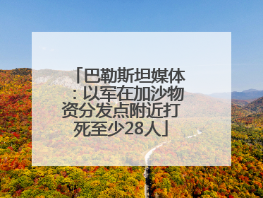 巴勒斯坦媒体：以军在加沙物资分发点附近打死至少28人