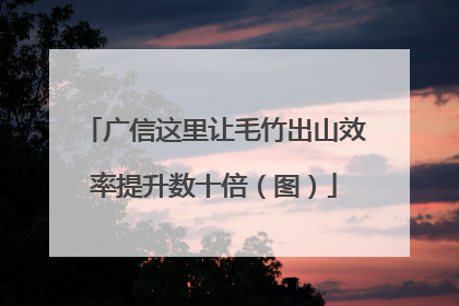 广信这里让毛竹出山效率提升数十倍（图）
