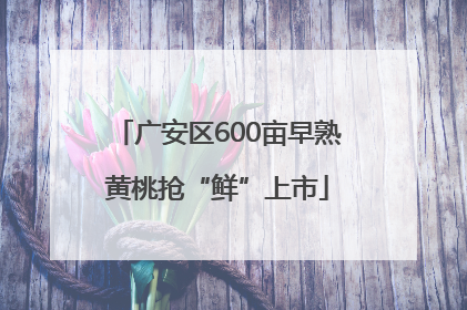 广安区600亩早熟黄桃抢“鲜”上市