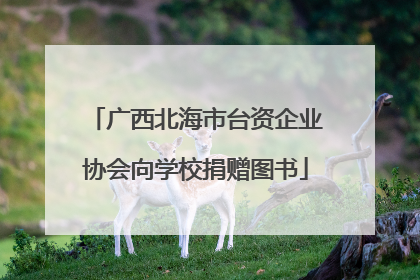 广西北海市台资企业协会向学校捐赠图书