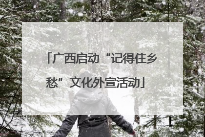 广西启动“记得住乡愁”文化外宣活动