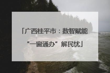 广西桂平市：数智赋能“一窗通办”解民忧