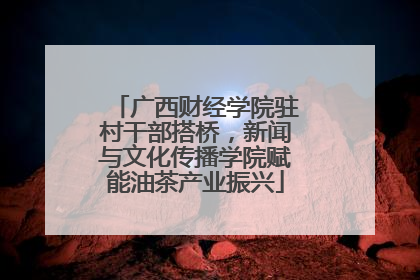 广西财经学院驻村干部搭桥，新闻与文化传播学院赋能油茶产业振兴