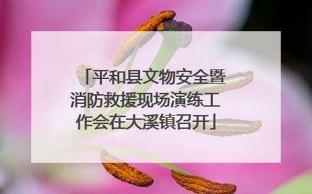 平和县文物安全暨消防救援现场演练工作会在大溪镇召开