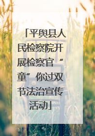 平舆县人民检察院开展检察官“童”你过双节法治宣传活动