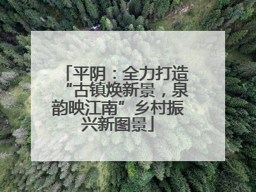 平阴：全力打造“古镇焕新景，泉韵映江南”乡村振兴新图景