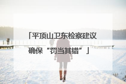 平顶山卫东检察建议确保“罚当其错”