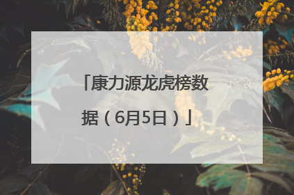 康力源龙虎榜数据（6月5日）