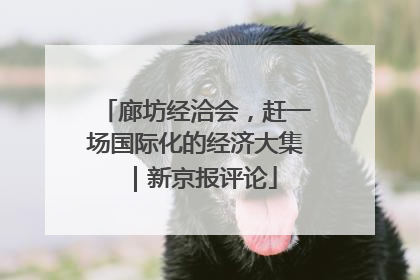 廊坊经洽会，赶一场国际化的经济大集｜新京报评论