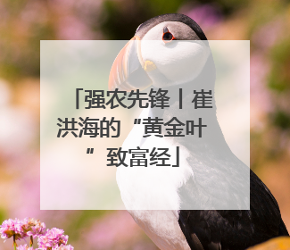 强农先锋丨崔洪海的“黄金叶”致富经