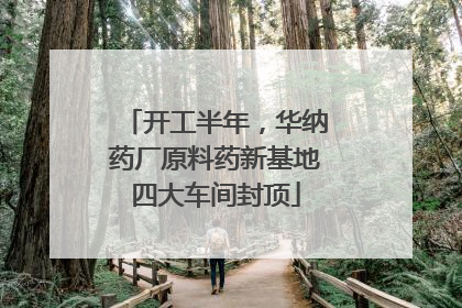 开工半年，华纳药厂原料药新基地四大车间封顶