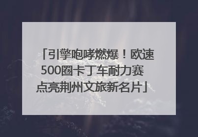 引擎咆哮燃爆！欧速500圈卡丁车耐力赛点亮荆州文旅新名片