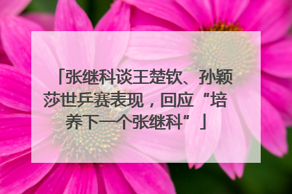 张继科谈王楚钦、孙颖莎世乒赛表现，回应“培养下一个张继科”