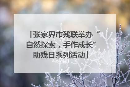 张家界市残联举办“自然探索，手作成长”助残日系列活动