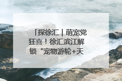 探徐汇｜萌宠党狂喜！徐汇滨江解锁“宠物游轮+天台乐园”双玩法