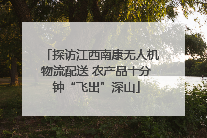 探访江西南康无人机物流配送 农产品十分钟“飞出”深山