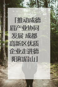 推动成德眉产业协同发展 成都高新区优质企业走进德阳和眉山