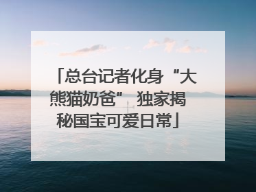 总台记者化身“大熊猫奶爸” 独家揭秘国宝可爱日常