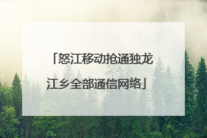 怒江移动抢通独龙江乡全部通信网络