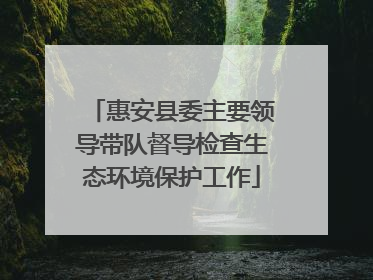 惠安县委主要领导带队督导检查生态环境保护工作