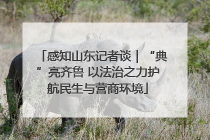 感知山东记者谈｜“典”亮齐鲁 以法治之力护航民生与营商环境