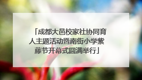 成都大邑校家社协同育人主题活动暨南街小学紫藤节开幕式圆满举行