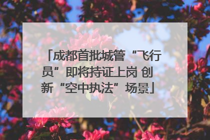 成都首批城管“飞行员”即将持证上岗 创新“空中执法”场景