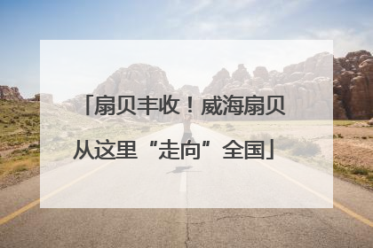 扇贝丰收！威海扇贝从这里“走向”全国