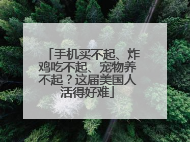 手机买不起、炸鸡吃不起、宠物养不起？这届美国人活得好难